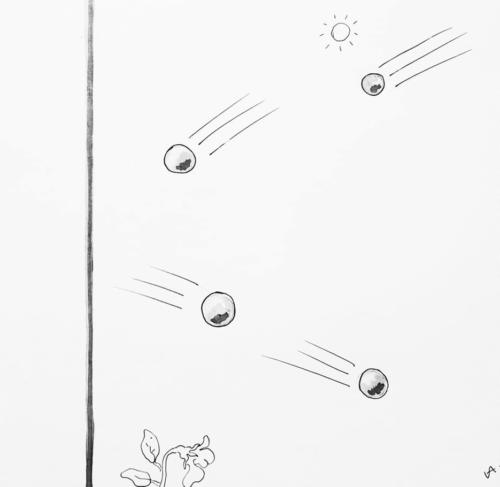 11-26