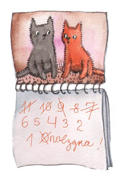 бмд11-14
