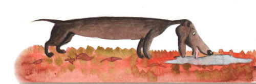 бмд5-11